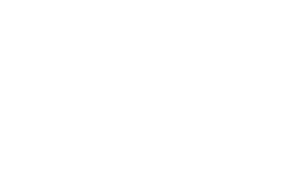 white-logo